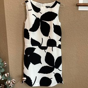 Ann Taylor Sleeveless Black and White Dress.  Size 0.